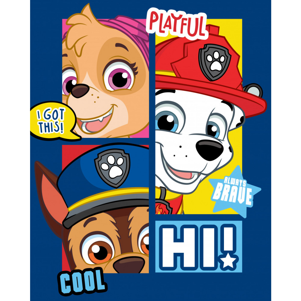 Paw Patrol dekica